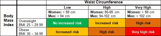 Wasit | BMI (Body Mass Index) Calculator | Diet with Mansi Diet with a Difference
